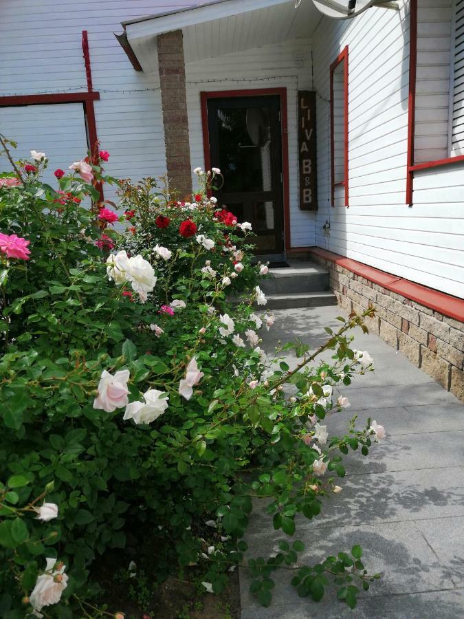 Liiva Guest Accommodation,Free Parking Ταρτού Εξωτερικό φωτογραφία